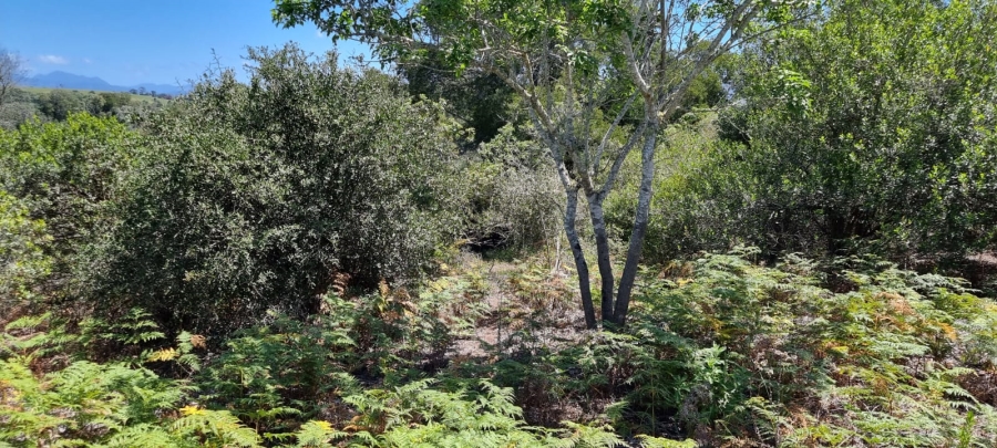  Bedroom Property for Sale in Knysna Rural Western Cape